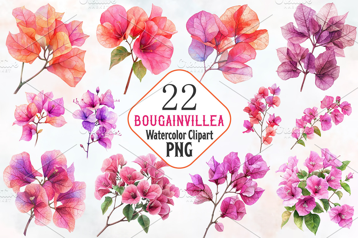 Bougainvillea Flower Watercolor PNG, a Seasonal Illustration by RobertsArt (Photo 1 of 7)