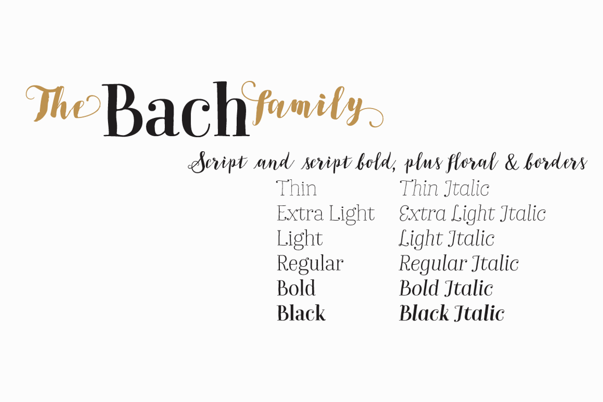 Bach - Family 50% off preview 4