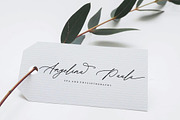Bristhony, a Script Font by Queenopstudio (Thumbnail 10 of 12)