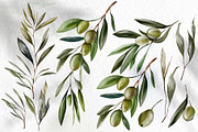 Watercolor Olives & Lemons, an Object Graphic by Knopazyzy (Thumbnail 3 of 6)