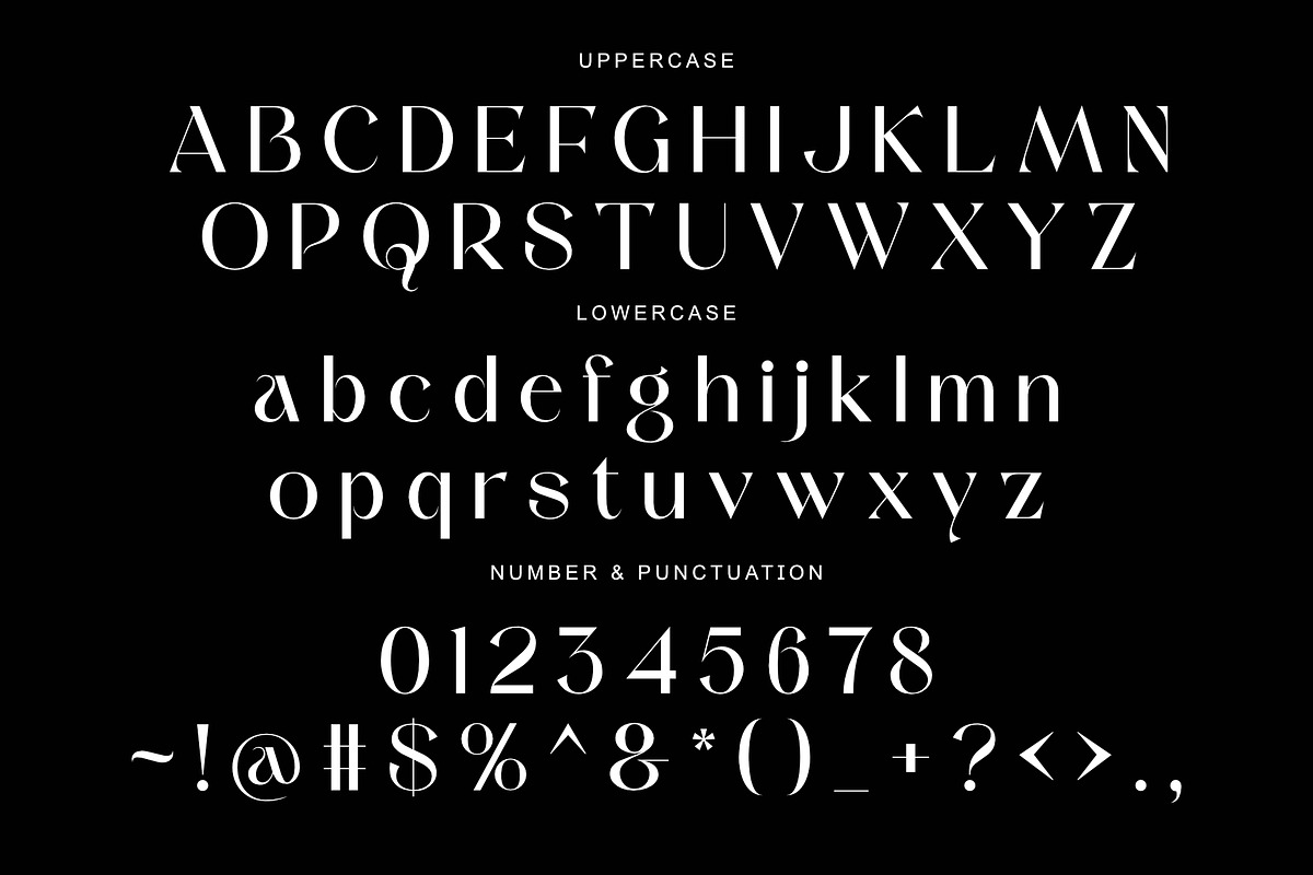 Radeyn | Modern Classy Logo Font, a Serif Font by Sealoung (Photo 8 of 8)
