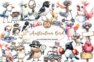 Funny Australian Bird Clipart, an Illustration by Watercolor design