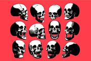 Vector Engraved Skulls Set, an Illustration by Andres M Rodriguez (Thumbnail 1 of 5)