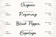 Sallamah Handwritten Font, a Handwritten Font by Basnistudio (Thumbnail 2 of 13)