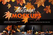 Autumn Leaves & Slate Mockup Set, a Packaging Mockup by BMACHINA Labs. (Thumbnail 1 of 5)