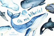 Oh My Whale! Watercolor Clip Arts, an Animal Illustration by everysunsun (Thumbnail 1 of 4)
