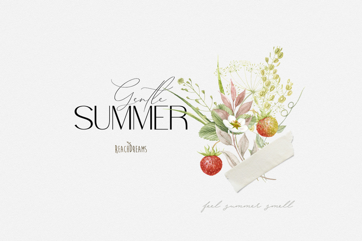Meadow Flowers Strawberry Collection, a Decorative Illustration by ReachDreams (Photo 5 of 11)