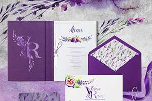 Violet Melody Collection