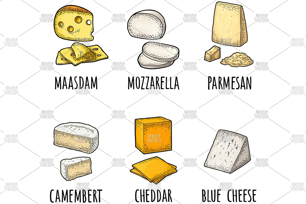 Different types cheese engraving, a Food Illustration by MoreVector (Photo 3 of 4)
