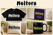 Meltora, a Slab Serif Font by Wow Magic (Thumbnail 2 of 4)