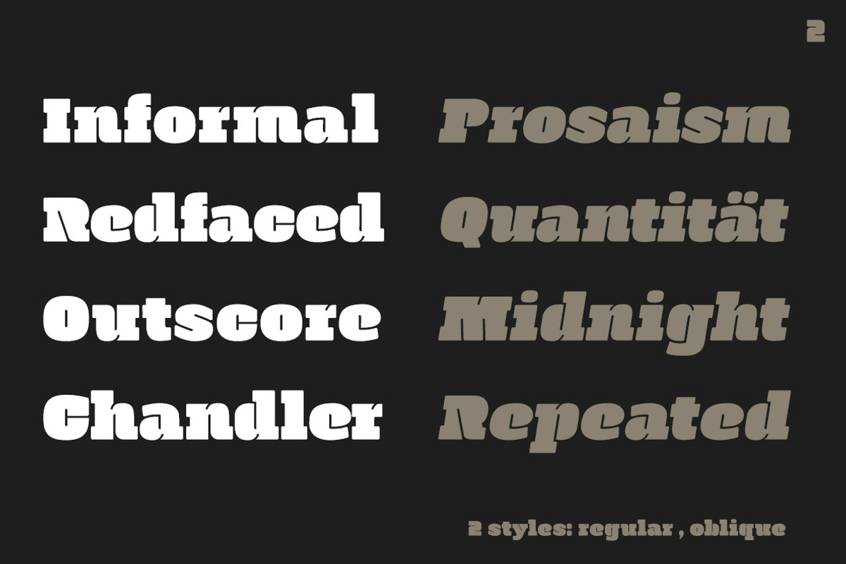 Manometer, a Slab Serif Font by fontador (Photo 6 of 8)
