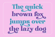 Agile Jewelry, a Serif Font by Nathatype (Thumbnail 6 of 10)