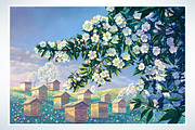 Spring landscape (SET illustration), a Food Illustration by Countryside life (Thumbnail 2 of 10)