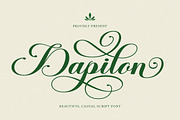 Dapilon Script, a Script Font by Has_rizal (Thumbnail 1 of 11)