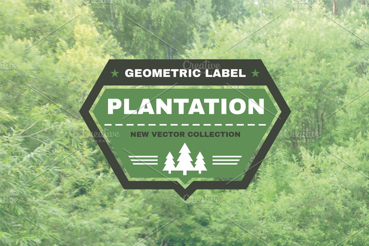 5 Vector Geometric Badges preview 2
