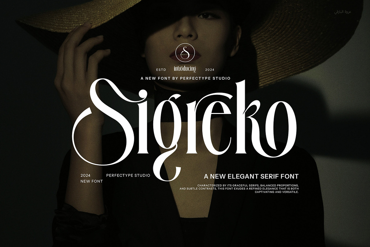 Sigreko Modern Serif Font, a Serif Font by Perfectype (Photo 1 of 8)