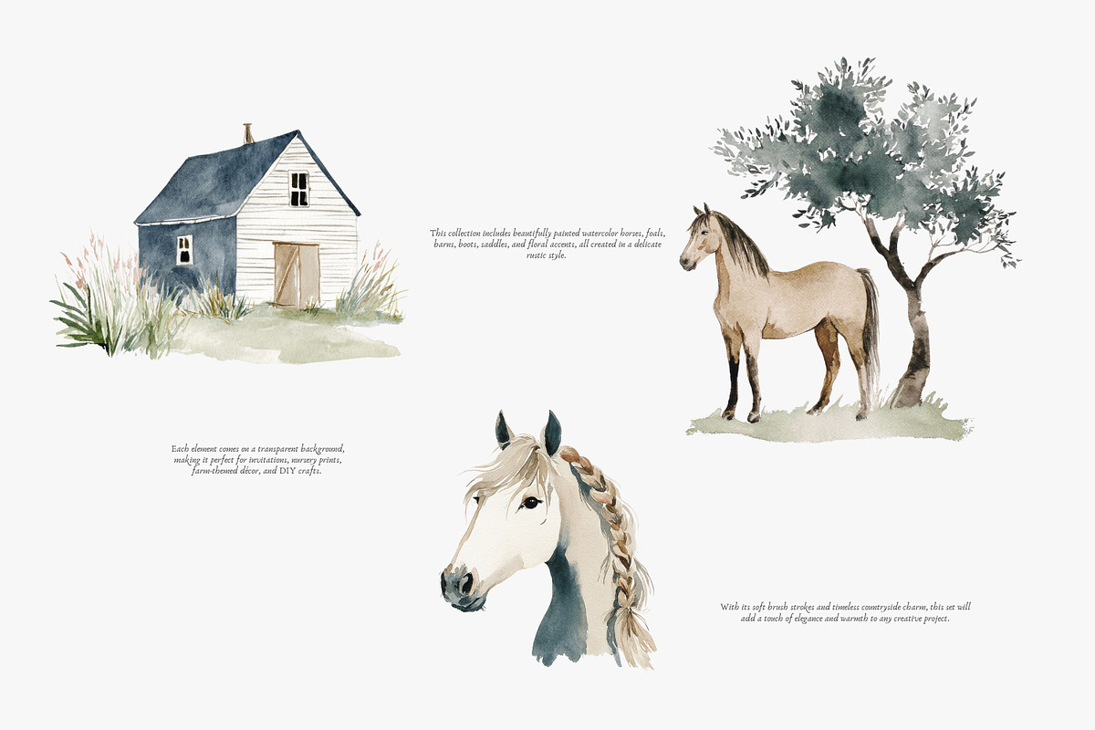 horse clipart horse illustration set, an Illustration by Patishop Art (Photo 4 of 10)