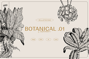 The Botanical Collection