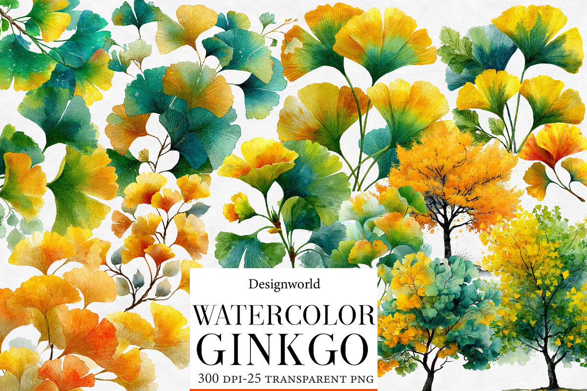 Watercolor Ginkgo Clipart, an Illustration by Designworld (Photo 1 of 6)