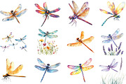 Watercolor Dragonfly Clipart, an Illustration by Pixels.Craft (Thumbnail 3 of 5)