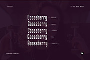 Gooseberry - Bold Typeface + Webfont, a Sans Serif Font by Foxtype (Thumbnail 4 of 7)