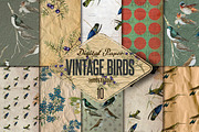 Vintage Birds- 10 Digital paper, a Texture Graphic by JAY MID IMAGE (Thumbnail 3 of 4)