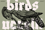 Vintage Bundle - 6600+ Illustrations, an Animal Illustration by Nomad Visuals (Thumbnail 3 of 45)