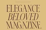 CS Aracely – Elegant Serif Font, a Serif Font by Craft Supply Co. (Thumbnail 3 of 8)