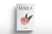 Recoba Font Family, a Serif Font by khurasan (Thumbnail 5 of 6)