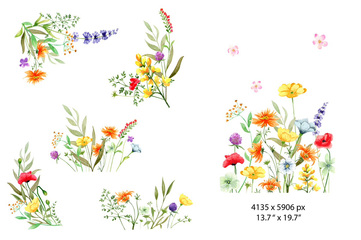 Watercolor Wildflowers clipart, a Decorative Illustration by Lemon design (Photo 6 of 21)