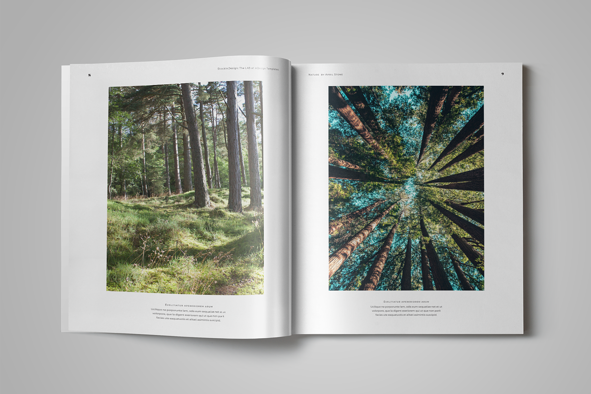 Book Template, a Templates & Theme by StockInDesign (Photo 8 of 11)