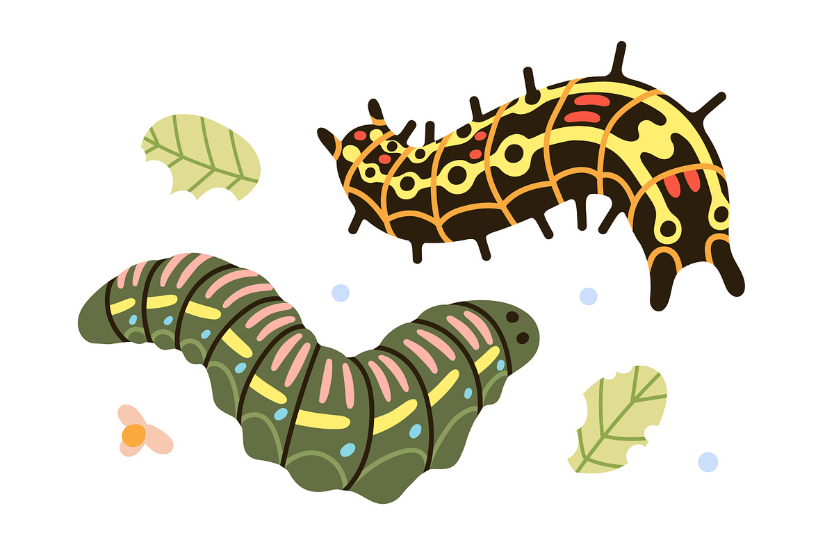 Cute caterpillars, funny larvas set, an Animal Illustration by Good Studio (Photo 5 of 8)