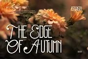 Rimona, a Symbol Font by Burntilldead (Thumbnail 3 of 13)