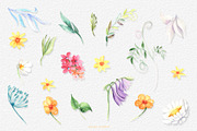 Honey Bee and Wild Flowers clipart, an Illustration by GevelStudio (Thumbnail 3 of 12)