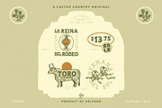 Tienda Display Font, a Serif Font by Cactus Country (Thumbnail 5 of 6)