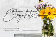 Staywhite, a Script Font by din-studio.com (Thumbnail 12 of 12)