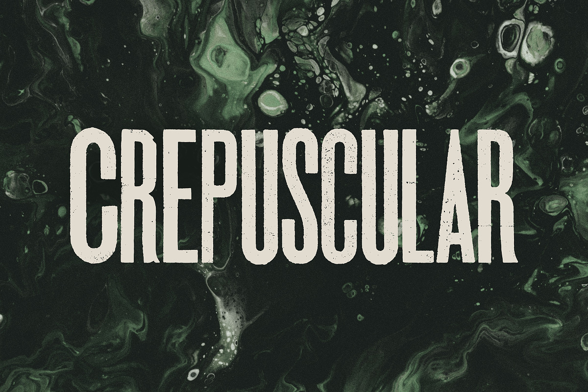 Aurochs: letterpress type family, a Sans Serif Font by Polymath (Photo 10 of 12)