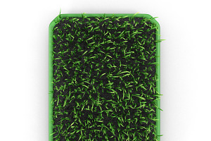 Seedlings Tray 4