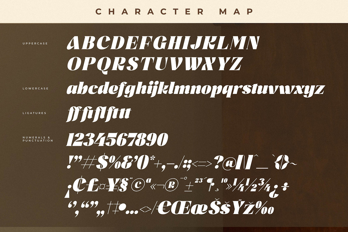Misflen Radio Modern Bold Serif, a Serif Font by Letterena Studios (Photo 14 of 15)
