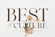 Maglite - Modern Ligature Serif, a Serif Font by Sarid Ezra (Thumbnail 6 of 13)