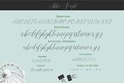 Abbie Script, a Script Font by josstype (Thumbnail 4 of 7)