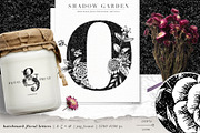 Shadow Garden Botanical Monograms, an Illustration by Eclectic Anthology (Thumbnail 9 of 15)