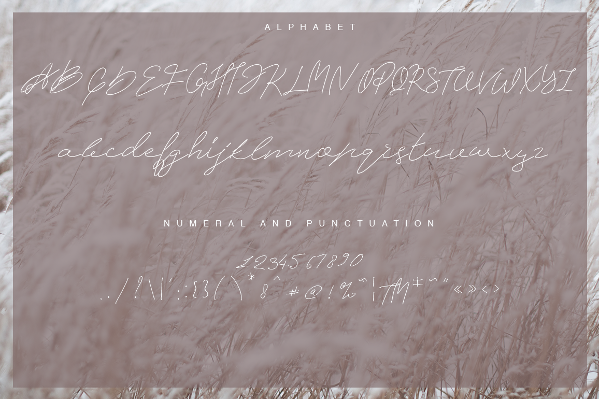Gordea/SALE 99% OFF, a Script Font by Katie Holland (Photo 15 of 17)