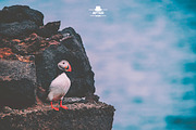 Travel Lightroom Presets, an Action Add-On by Lavinsky Art Store (Thumbnail 12 of 15)