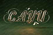Cayu - Refined Modern Serif, a Serif Font by Astuti Studio (Thumbnail 15 of 23)