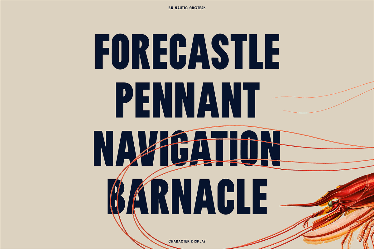Nautic Grotesk - Modern Display Font, a Sans Serif Font by Bnick (Photo 4 of 12)