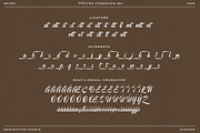 Grecina Vintage Script Font, a Script Font by RantautypeStudio (Thumbnail 13 of 15)