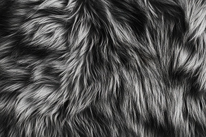 Black and Gray Fur Texture Close-Up, a Background Photo by Ales Munt