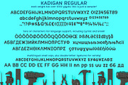 Kadigan: a fun sans-serif font trio!, a Sans Serif Font by Missy Meyer (Thumbnail 7 of 9)