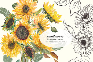 Watercolor Hand Painted Sunflower